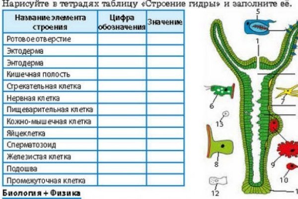 Кракен сайт kr2web in официальный ссылка