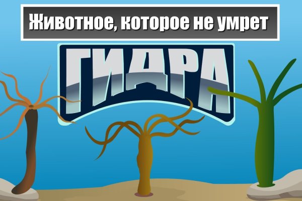 Кракен даркнет тор