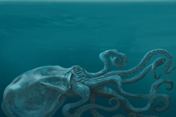 Kraken даркнет рынок